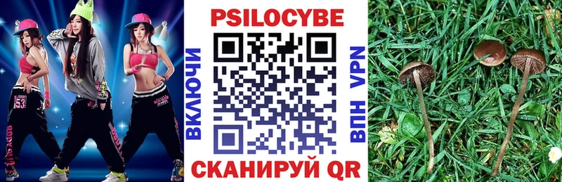 Купить где  Староминская  Галлюциногенные грибы мицелий 