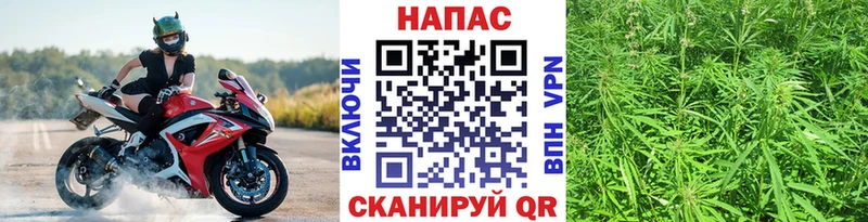 Купить  Староминская  Шишки марихуана индика 